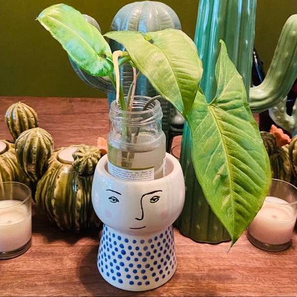 Opalhouse Other - Modern face planter/vase Blue & White